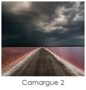 Photo de paysage de camargue