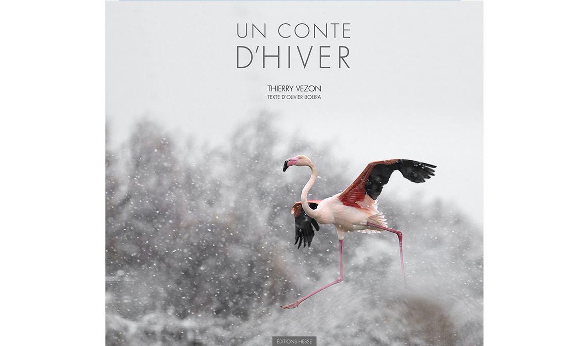 Couverture du livre un conte d'hiver de Thierry Vezon