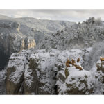 Vautours dans les gorges du Tarn en hiver